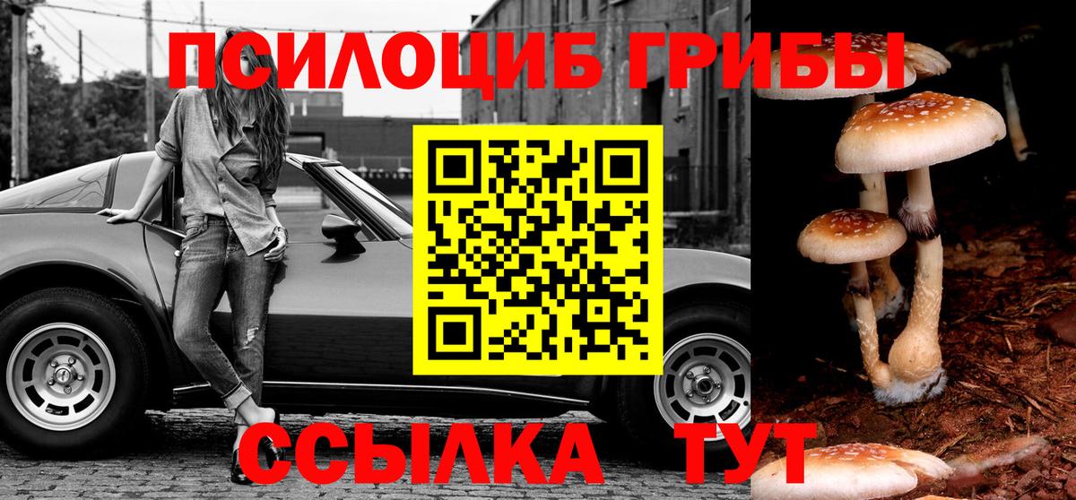 Псилоцибиновые грибы Psilocybine cubensis  Вход с VPN  Михайловка 