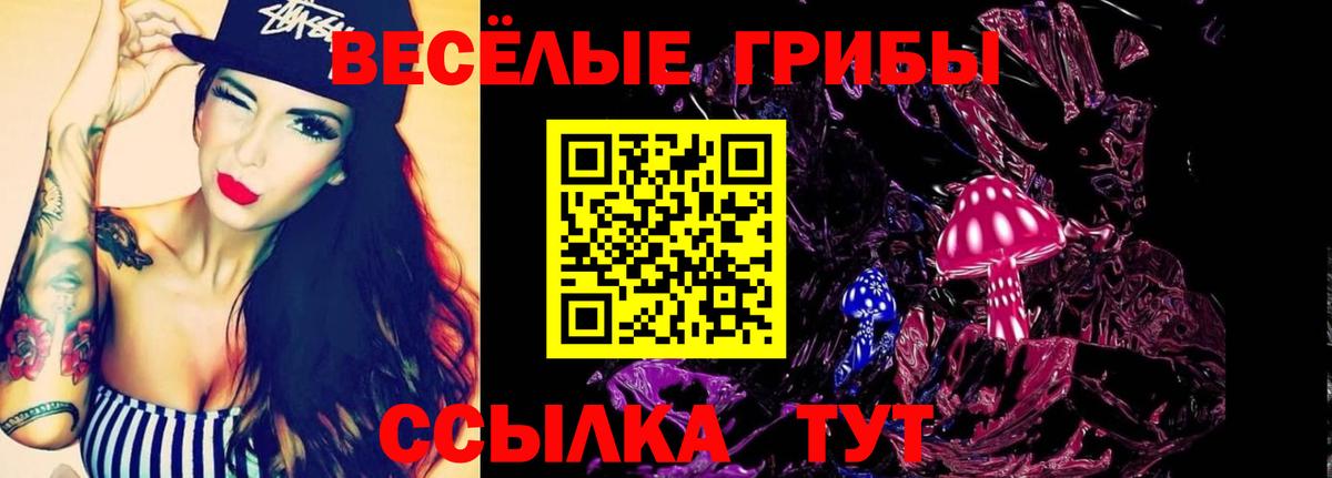 Псилоцибиновые грибы Psilocybe Михайловка